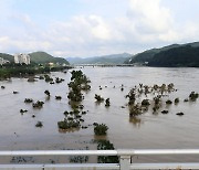 물에 잠긴 공주 금강수변공원