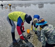 경기도, '어촌 체험 마을 안전 가이드'…바닷가 안전사고 예방 파수꾼