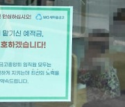 "새마을금고 감독권 금융위로" 말만 15년째... 이번엔 다르다는데