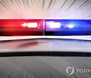 올림픽대로 곡예운전…술·마약 취해 '비틀비틀'