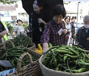 '신선한 농산물 저렴하게'