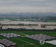 논산천 제방 붕괴에 농경지 침수