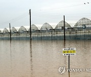 [르포] '이미 다 잠겼는데'…물바다 된 익산 용안·망성면 일대