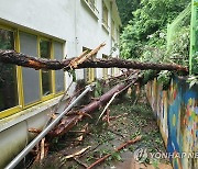 강원 영월서 산사태로 중학교 펜스 '뚝'