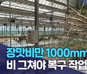 장맛비만 1000mm..비 그쳐야 복구 작업