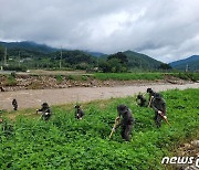 실종자 수색작전에 투입된 장병들