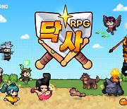 슈퍼캣 펑크랜드, 신작 `닥사RPG : 파밍용사키우기` 출시