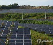 "친환경 외치는 동안, 눈먼 돈 8천억 줄줄"..실체 드러난 문정부 태양광