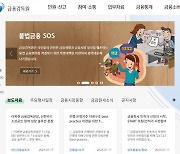 금감원, 회계사·변호사 등 경력직 25명 채용 공고