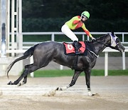 폐출혈 극복하고 '트리플 티아라' 싹쓸이, 즐거운여정 국산 3세 여왕 등극