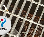 서울시, 호우 피해 예방 위해 자치구에 250억 원 지원