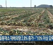 제주도 내 월동채소 재배의향 2.8% 증가…“10% 이상 감축”