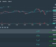 [베트남증시 17일 마감시황] VN지수 4.73p(0.40%) 상승 1,173.13 '빈그룹과 자회사, 장 상승 견인…올들어 최고치 경신'