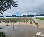 처음 마련한 집이 물에 잠겨…길도 농경지도 사라진