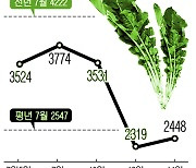 [한눈에 보는 시세] 열무, 장마기간 소비심리 위축으로 약세 전망