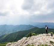 [독자가 알려주는 명산 기룡산] 어디 숨었다 지금 왔니, 영천의 無名명산