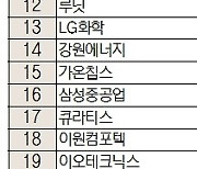 [주식 초고수는 지금] 리튬 사업 본격화한 포스코홀딩스 신고가에 매수 1위