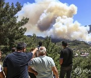 Turkey Wildfires