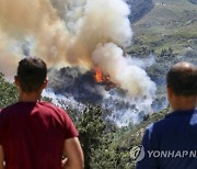 Turkey Wildfires