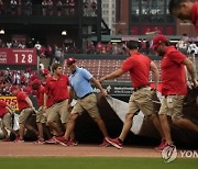 Nationals Cardinals Baseball