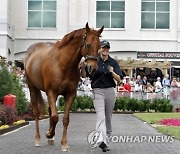 Obit Funny Cide Horse Racing