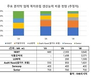 "K-분리막, 2030년 북미·유럽 내 생산능력 비중 75% 차지"