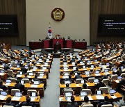 '영아 살해범 최고 사형' 형법 개정안, 국회 본회의 통과