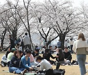 청년층 취업자·실업자 '동반 감소'…휴학 줄고 졸업 빨라졌다