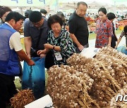 "수해 슬픔 함께합니다"…충북·세종 축제·대회 취소·축소