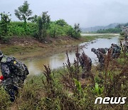 나무 쓰러지고 담벼락 흔들리고…경상권 호우에 피해 잇따라 (종합)