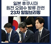 후쿠시마 원전 오염수 방류 관련 일일 브리핑(7.17.)