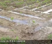 축구장 2만 개 넓이…전북 농작물 피해 ‘전국 최다’