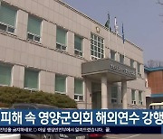 폭우 피해 속 영양군의회 해외연수 강행