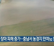 장마 피해 증가…충남서 농경지 만여㏊ 침수