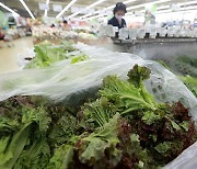 Heavy rain deepens concerns over rising prices of vegetables, fruits