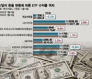 '롤코' 타는 환율…'H'가 안전벨트 됐네