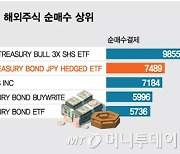 "역대급 엔저인데 겨우 환테크?"…엔화로 사는 미국채에 줄선 뭉칫돈