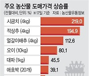 ‘여의도 93배’ 농지 초토화… 밥상물가 들썩