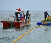 동해안 잇단 상어 출몰…속초 이어 삼척시도 '차단 그물망' 설치