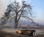 APTOPIX Greece Wildfires