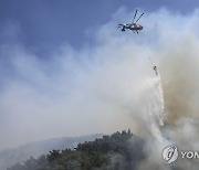 Turkey Wildfires