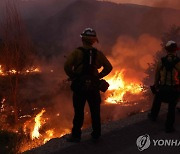 폭염 덮친 美 캘리포니아 남부서 산불 5건 동시다발 '비상'