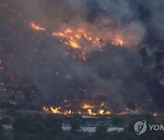 Greece Wildfires