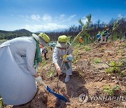 [인제소식] 인제국유림관리소, 훼손 산림 2.3㏊ 복원 추진