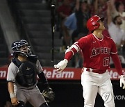 Yankees Angels Baseball