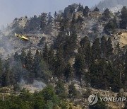 Switzerland Wildfires