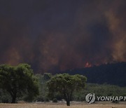 Greece Wildfires