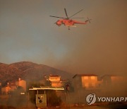 GREECE WILDFIRE AFTERMATH