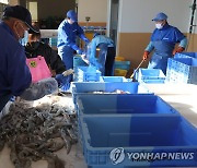 중국, 日수산물에 전면 방사선 검사…"오염수 방류에 맞불"(종합)