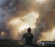 GREECE WILDFIRES